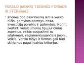 Kompleksinio verslo steigimo ir vystymo Lietuvoje Airijos pristatymas 7 puslapis