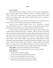 Lietuvos finansų sistemos stabilumas pasaulinės finansų krizės metu 2 puslapis