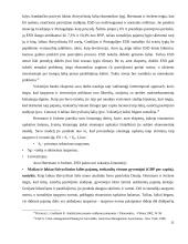 Lietuvos finansų sistemos stabilumas pasaulinės finansų krizės metu 11 puslapis