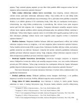 Lietuvos finansų sistemos stabilumas pasaulinės finansų krizės metu 12 puslapis