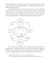 Lietuvos finansų sistemos stabilumas pasaulinės finansų krizės metu 13 puslapis