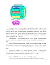 Lietuvos finansų sistemos stabilumas pasaulinės finansų krizės metu 16 puslapis