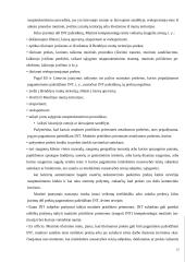 Lietuvos Respublikos muitinė ir verslas 12 puslapis