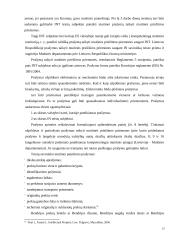 Lietuvos Respublikos muitinė ir verslas 13 puslapis