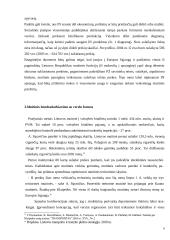 Lietuvos Respublikos muitinė ir verslas 8 puslapis