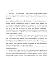 Metalo gamybos konkurencingumas užsienio šalyse 2 puslapis