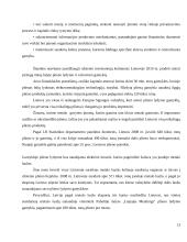 Metalo gamybos konkurencingumas užsienio šalyse 13 puslapis