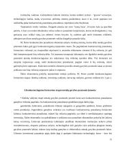 Metalo gamybos konkurencingumas užsienio šalyse 15 puslapis