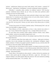 Metalo gamybos konkurencingumas užsienio šalyse 4 puslapis