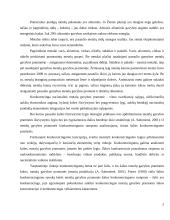 Metalo gamybos konkurencingumas užsienio šalyse 5 puslapis