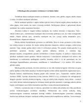 Metalo gamybos konkurencingumas užsienio šalyse 6 puslapis