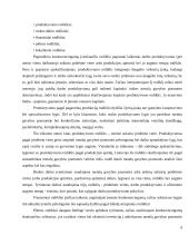 Metalo gamybos konkurencingumas užsienio šalyse 9 puslapis