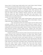 Metalo gamybos konkurencingumas užsienio šalyse 10 puslapis