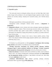 Mirštančių pacientų poreikių tenkinimas; socialinio darbuotojo vaidmuo 3 puslapis