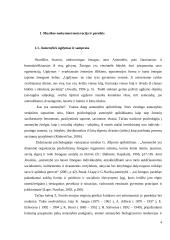 Muzikos mokymosi motyvacija bei poreikis 4 puslapis