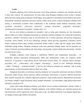 Nelegalūs mokėjimai versle ir kitose gyvenimo situacijose 2 puslapis