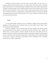 Nelegalūs mokėjimai versle ir kitose gyvenimo situacijose 11 puslapis