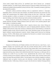 Nelegalūs mokėjimai versle ir kitose gyvenimo situacijose 5 puslapis