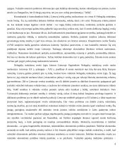 Nelegalūs mokėjimai versle ir kitose gyvenimo situacijose 9 puslapis