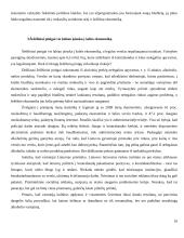 Nelegalūs mokėjimai versle ir kitose gyvenimo situacijose 10 puslapis