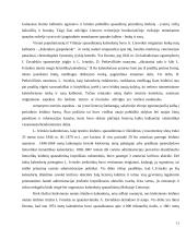 Nemokamos spaudos fenomenas LT ir pasaulyje 11 puslapis