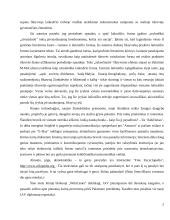 Nemokamos spaudos fenomenas LT ir pasaulyje 5 puslapis