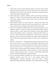 Organizacijų teorija referatas 13 puslapis