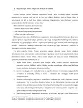 Organizacijų teorija referatas 3 puslapis