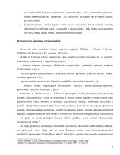 Organizacijų teorija referatas 4 puslapis