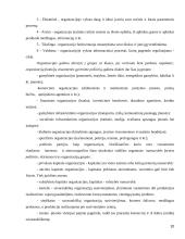 Organizacijų teorija referatas 10 puslapis