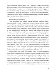 Organizacinė lyderystė 14 puslapis