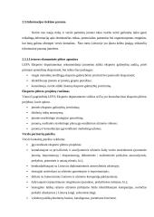 Organizacinė lyderystė 18 puslapis