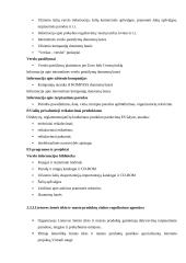 Organizacinė lyderystė 20 puslapis