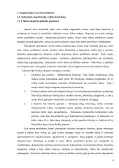 Organizacinė lyderystė 4 puslapis