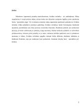 Pašnekovo (oponento) pastabų neutralizavimas 2 puslapis