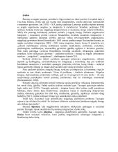 Neįgaliųjų įsidarbinimo galimybės Tauragės rajone 2 puslapis