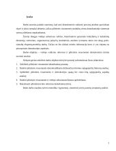 Viešojo valdymo reformos ir pilietinės visuomenės demokratinio turinio teorinė analizė 2 puslapis