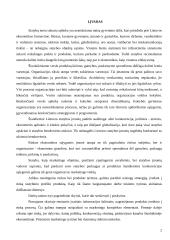 Produkto įvedimo į rinką strategija 2 puslapis