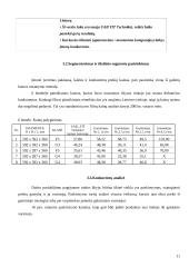 Produkto įvedimo į rinką strategija 11 puslapis