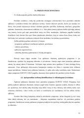 Produkto įvedimo į rinką strategija 13 puslapis