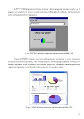 Produkto įvedimo į rinką strategija 15 puslapis