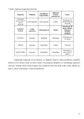 Produkto įvedimo į rinką strategija 17 puslapis