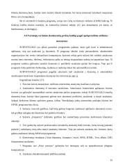 Produkto įvedimo į rinką strategija 19 puslapis