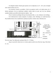 Produkto įvedimo į rinką strategija 5 puslapis