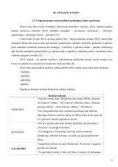 Produkto įvedimo į rinką strategija 9 puslapis