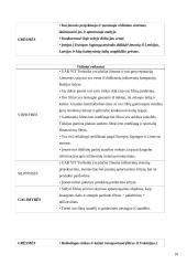 Produkto įvedimo į rinką strategija 10 puslapis