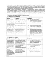 Plėtros strategija: Biržuvėnų kurortiniai ištekliai 3 puslapis