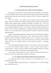 Produkto tyrimas veikiančioje įmonėje 12 puslapis