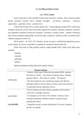 Produkto tyrimas veikiančioje įmonėje 17 puslapis