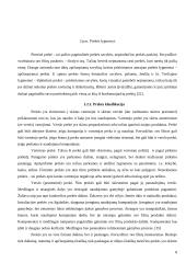 Produkto tyrimas veikiančioje įmonėje 8 puslapis